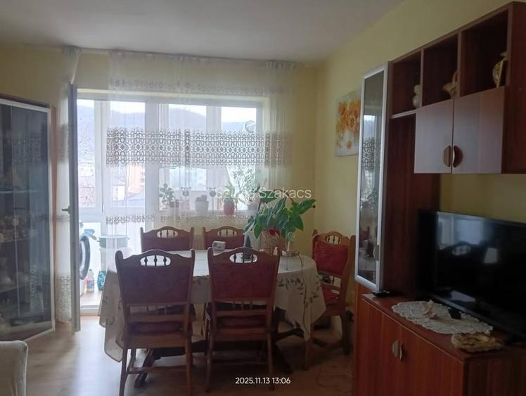 Proprietar-vand apartament cu 3 camere SIGHETU MARMATIEI  - 9