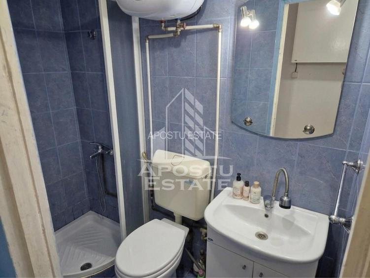 Apartament cu 1 camera de inchiriat, zona Aradului, Timisoara - 4