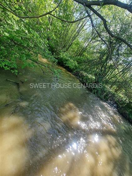 Teren valea Sebesului - 5