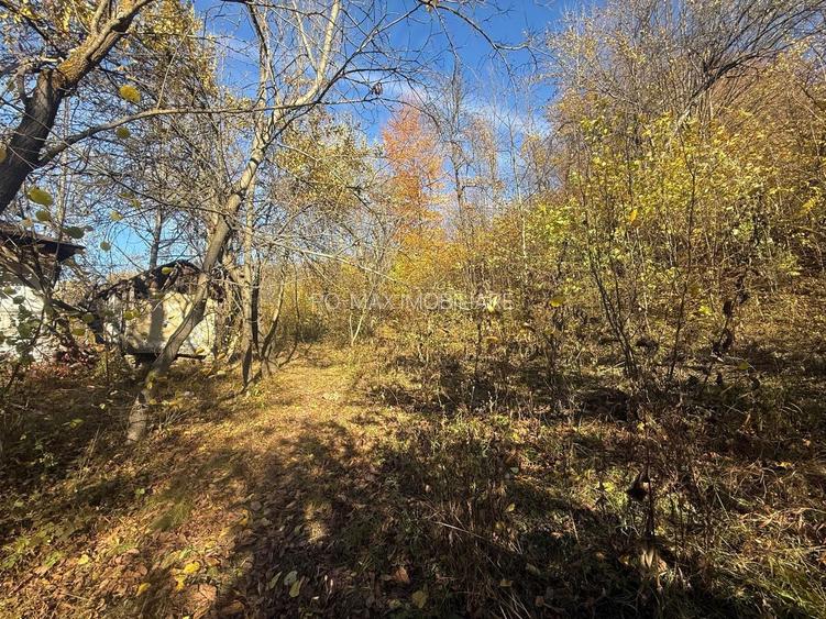 Teren langa pădure 6400mp+casa demolabila-deschidere 35 ml - 3