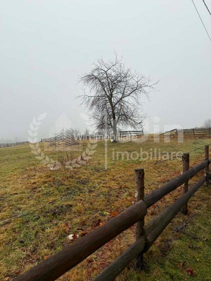 Teren intravilan ideal pentru investitie 1716mp | Front 38m | Marisel - 4