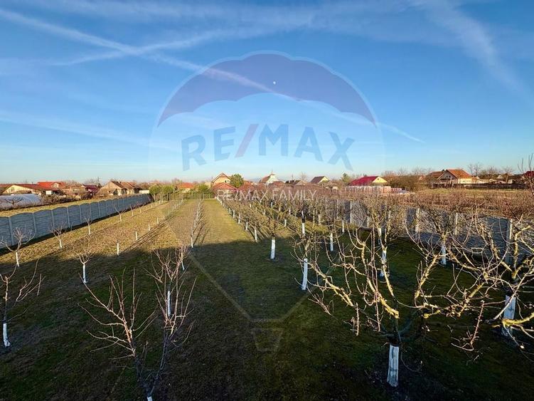 Casă impresionanta cu teren 2700mp garaj 2 masini si terasa-Madaras - 10