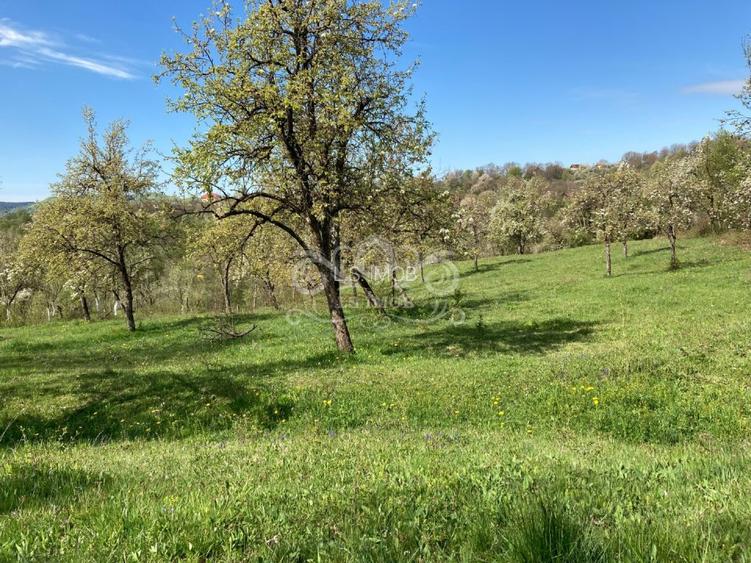 Vand teren intravilan in Albesti de Muscel - 5