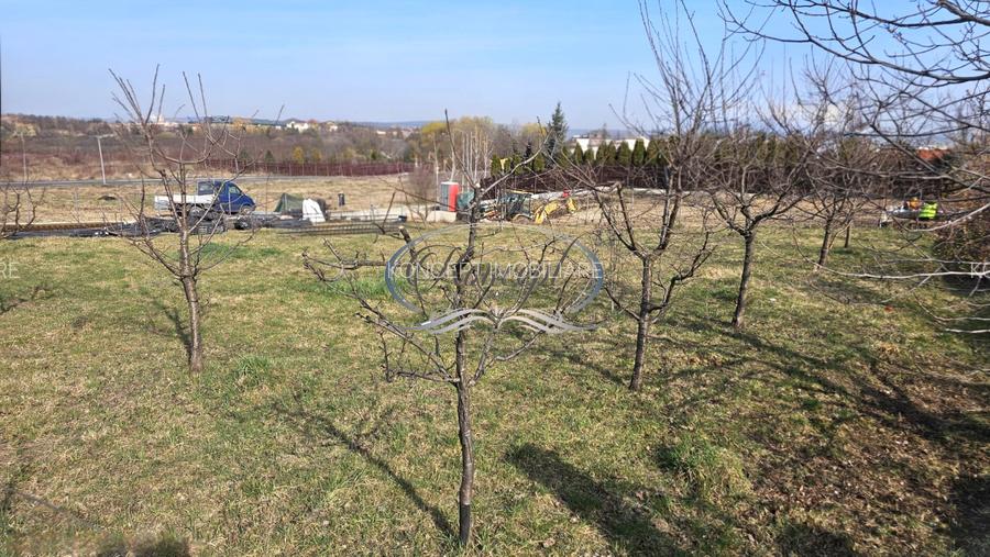 Teren duplex, cu PUZ aprobat in Buna Ziua - 2