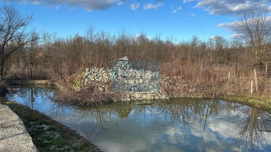 Proprietate cu doua imobile, com Dragutesti. Comision 0% - 18