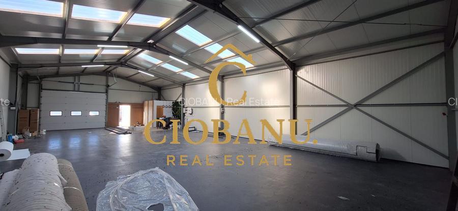 Hala de vanzare in Racarii de Jos - 9