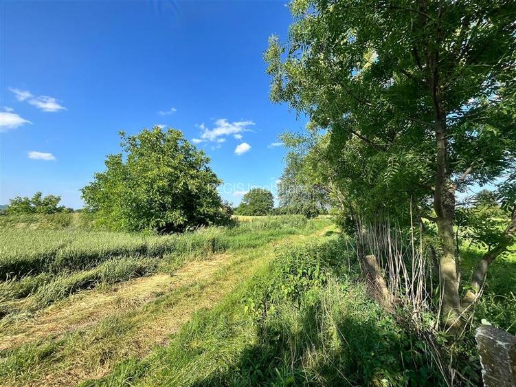 TEREN INTRAVILAN, 1200 mp, HARMAN, COMISION 0% - 4