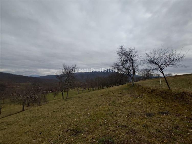 Teren intravilan si extravilan Luncoiu de Jos - 19