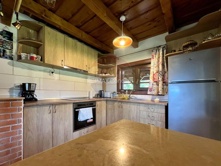 Casă de vacanță, de vânzare, pretabilă locuință sau afacere hotelieră - 9