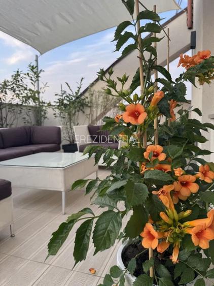 Apartament cu 3 camere semidecomandat, mobilat în Timpuri Noi - 10