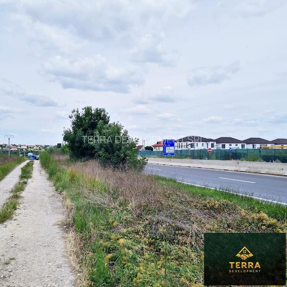 Loturi de teren , vis-a-vis de Insula Ovidiu - 7