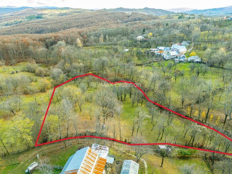 Teren intravilan 4384 mp – Comuna Talea,  județul Prahova - 2