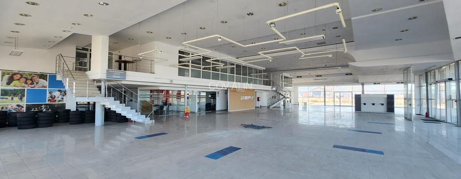 Showroom auto suprafata 6500 mp, teren 1500 mp, deschidere 90 ml la DN 1. - 3