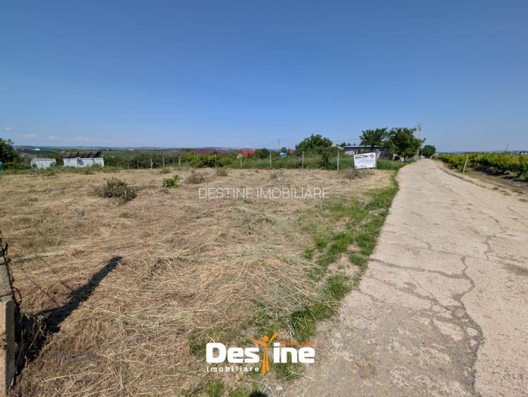 Barnova - Teren Intravilan 974 Mp, utilitati, drum betonat - 8