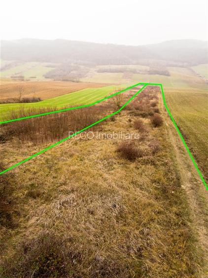 RECO Teren in Burzuc 13 041mp - 7