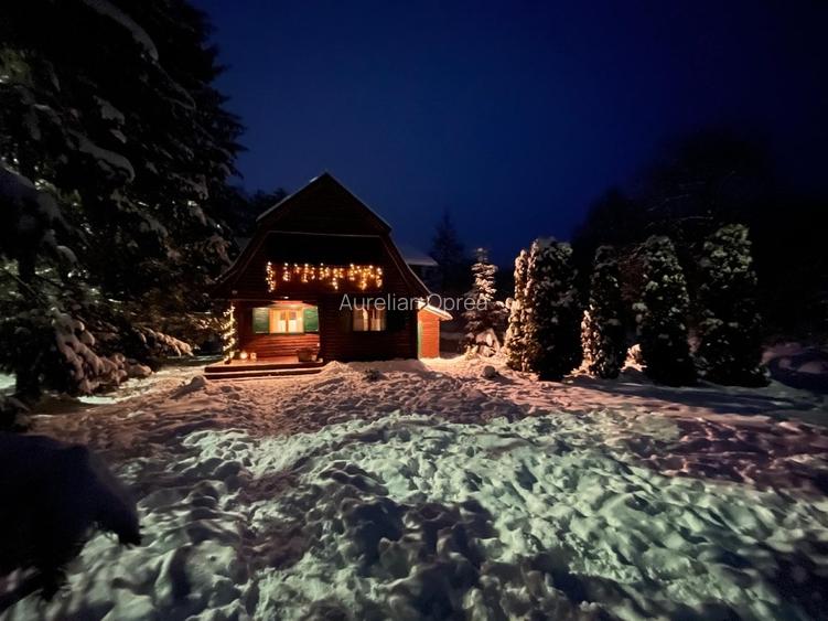 Casă de vacanță tip Chalet pe Valea Muresului  - 3