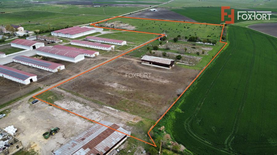 Teren intravilan cu suprafata de 58.340 mp, in Sanmartinul Sarbesc - 3