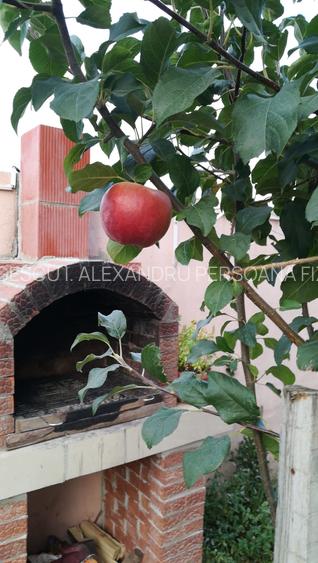 Bragadiru-Safirului Vila Individuala P+1+Pod An 2015 - 11