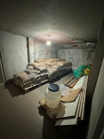 Casa / Vila deosebita in Golesti S+P+1E - 13