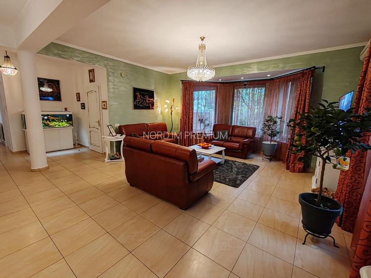 Invhiriere Vila Superba Pipera - 2