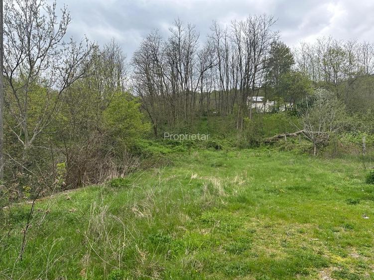 Imobil comercial/turistic S+P+2 - oportunitate investitie Muereasca ( Valcea)  - 8