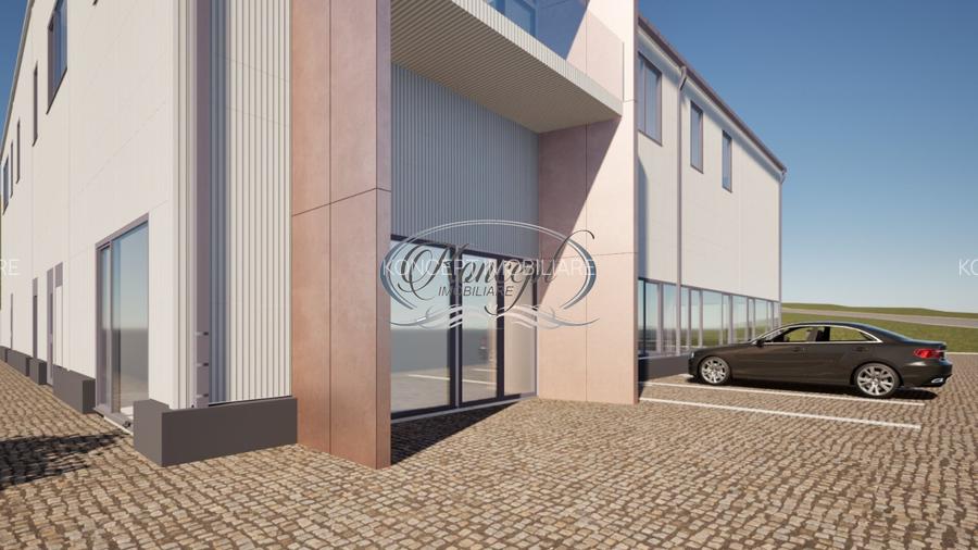 Teren industrial cu autorizatie hala, Valea Chintaului - 3