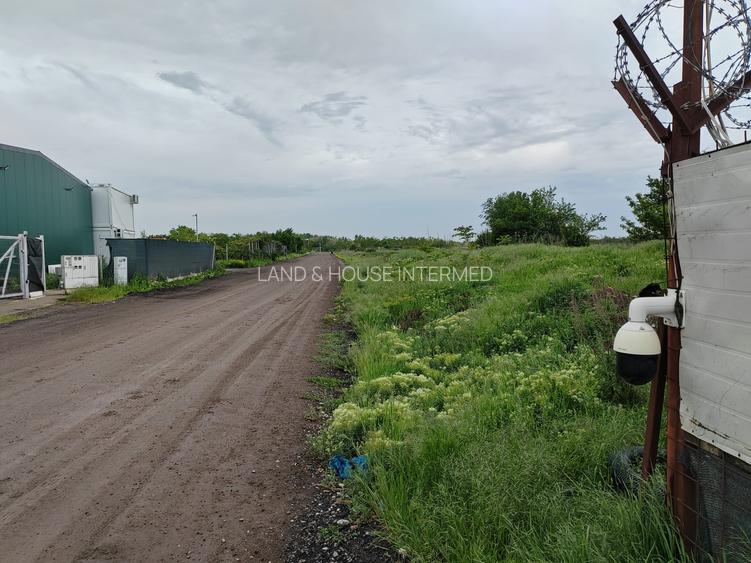 TEREN INTRAVILAN DE VÂNZARE ÎN OTOPENI-ODAI – OPORTUNITATE UNICĂ DE INVESTIȚIE! - 4