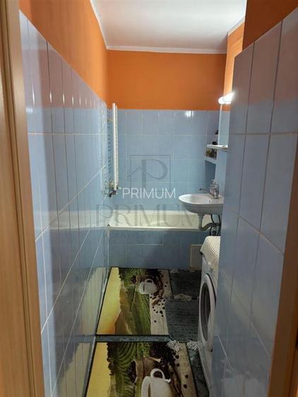 Apartament 1 camera-Centrala-Mobilat-Buziasului - 8