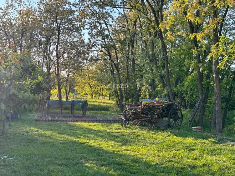 Vand casa in Lugojel  - 5