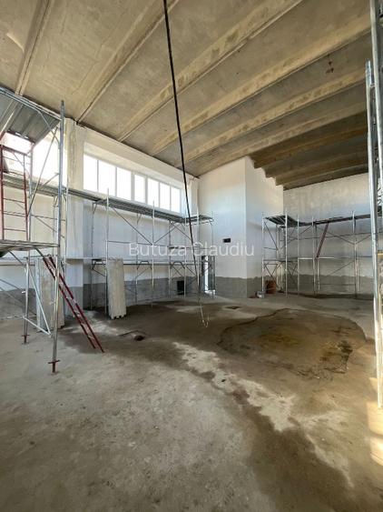 Platformă industrială flexibilă – 15.576 mp – oportunitate build-to-suit – Timiș - 5