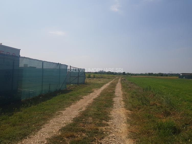 Loturi de teren parcelat, Sabareni, intravilan, 620-650 mp - 6