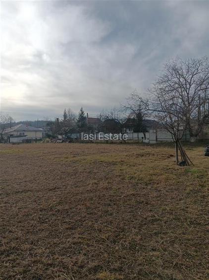 Teren 3500mp. Paun Bucium la asfalt cu toate utilitatile - 2