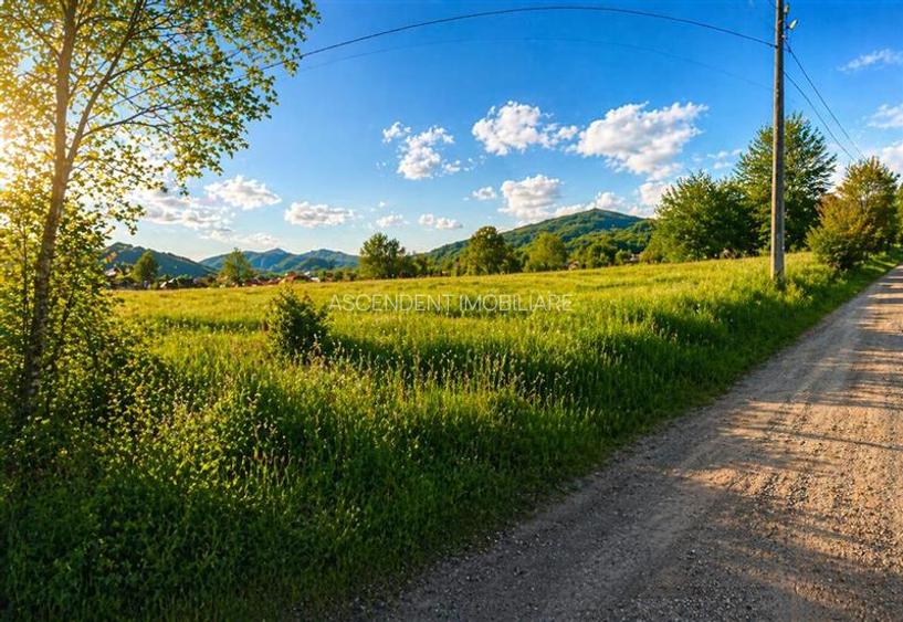 Teren intravilan panoramic, 5.750 mp, view munte, deschidere apreciabila, Ibanes - 2