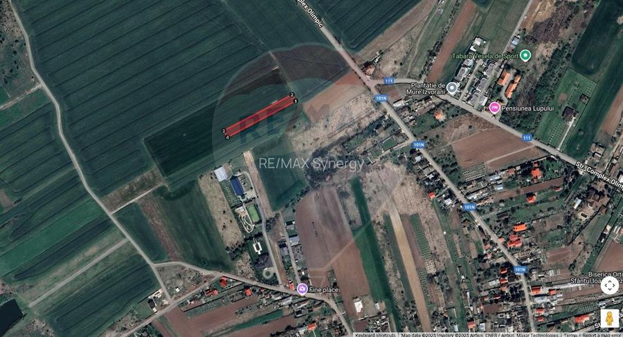 Oportunitate Izvorani (IF) 1.858 mp lângă Pădurea Snagov. Acces Rapid! - 3