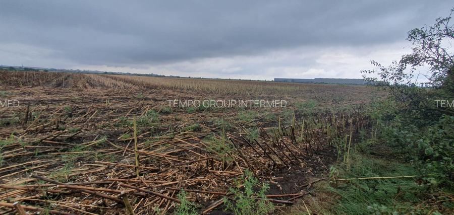 Dudestii Noi 10 ha comasate la 11 km de Timisoara - Ideal investitie ! - 10