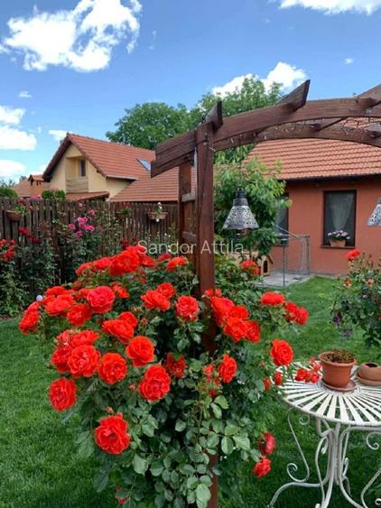 Proprietate exclusivista cu design rafinat si facilitati premium—Sfantu Gheorghe - 16