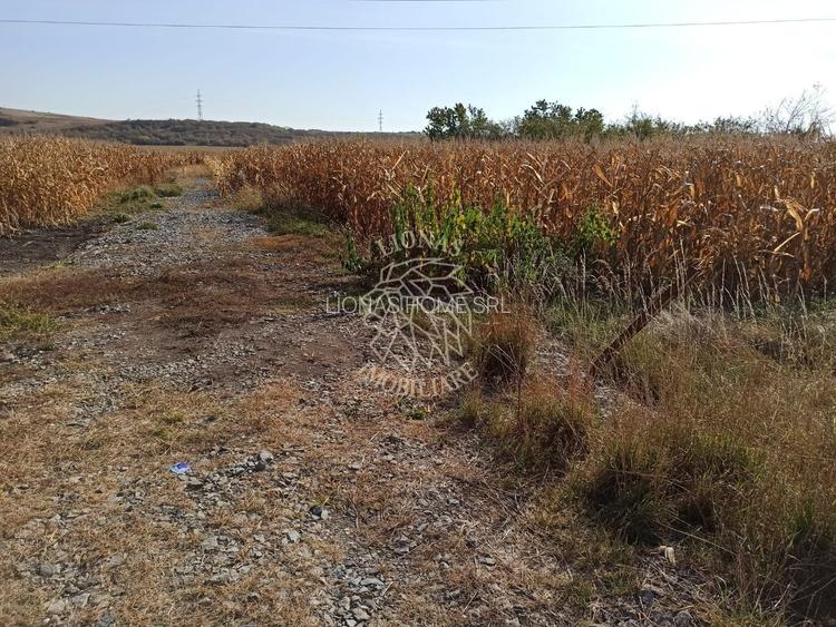 Parcele intre 770 mp si 4606 mp-ideal investitie-Sarata - 4