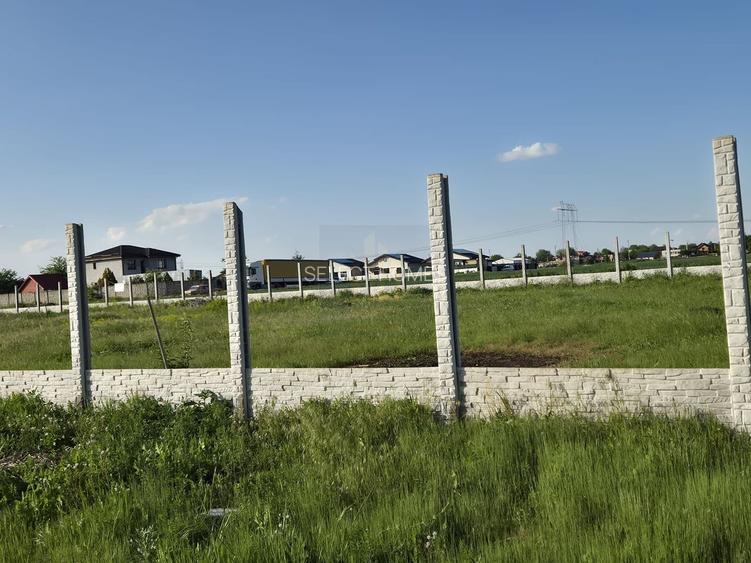 Teren Intravilan 497mp de Vanzare Padurisu *Calarasi* - 3