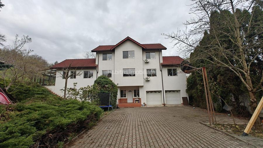 Casa de inchiriat, activitati diverse, zona Grigorescu - 32