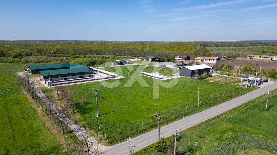 Black Angus Farm with authorized Slaughterhouse