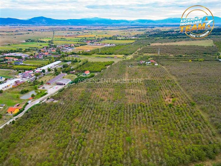Teren extravilan, 6.510mp, Simeria, Sfantu Gheorghe - 3