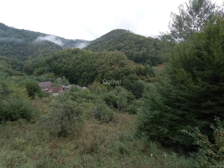 Proprietar-Vând două terenuri, unul de 7.100 mp, celălalt de 25.000 m2 - 9