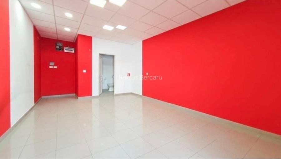 Spatiu comercial + garsoniera ( P+1 )  - 7