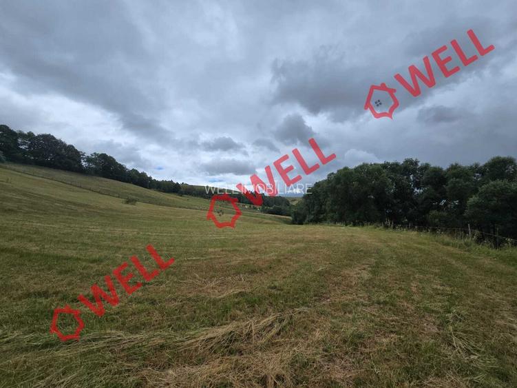 De vânzare teren extravilan loc. Sărămaș, com. Barcani - 4