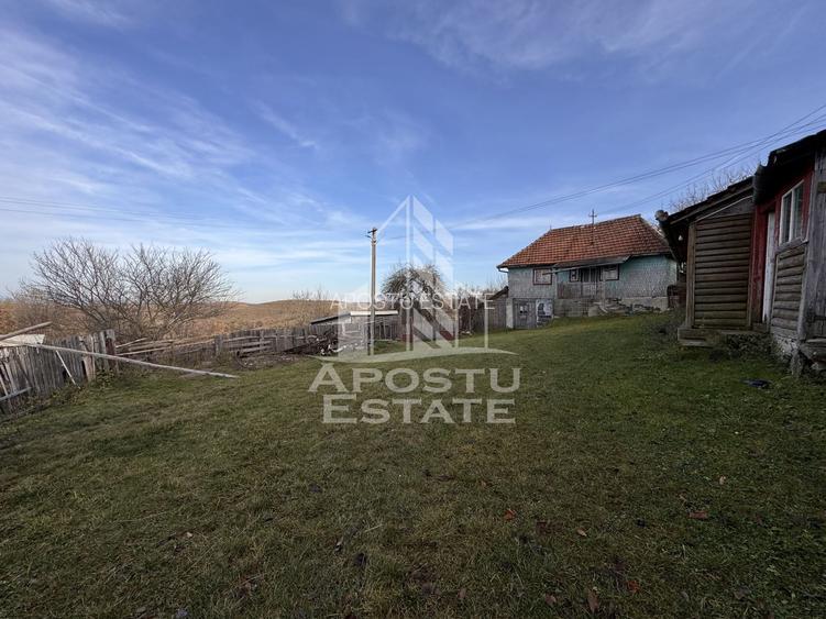 Casa batraneasca la munte, in Hunedoara, Tinutul Padurenilor, Cerbal - 7