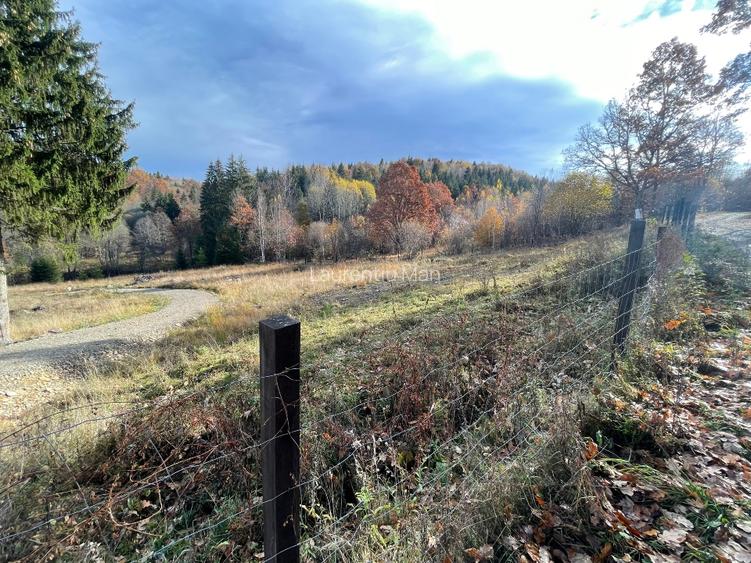 Teren Intravilan La Izvoare - 4