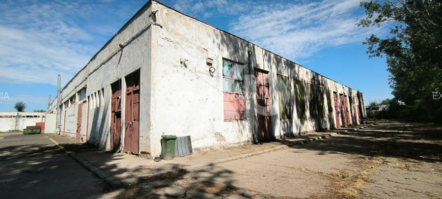 GIURGIU | Hala 5.000 mp | Acces TIR | Parcare TIR | Inaltime 7m - 5