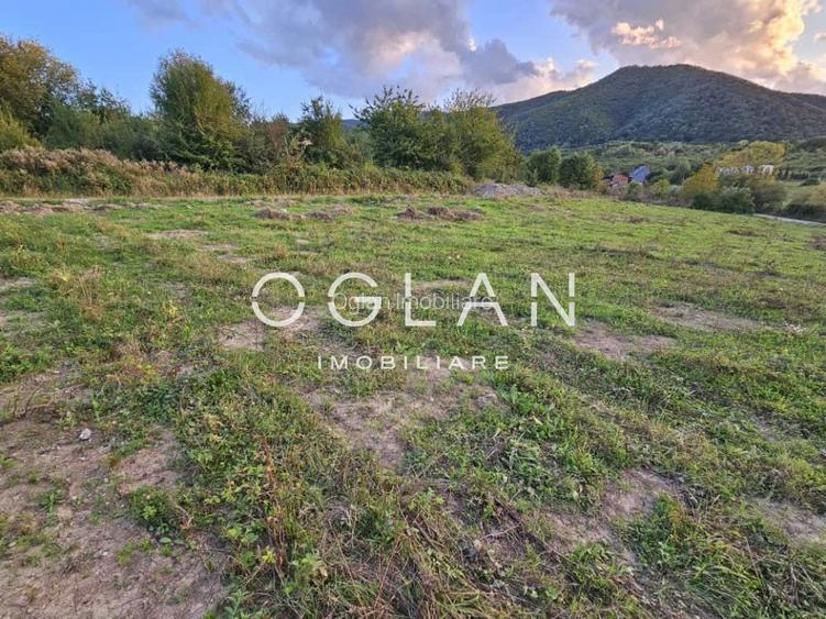 Teren cu PUZ si utilitati, Cisnadie, COMISION 0% - 3