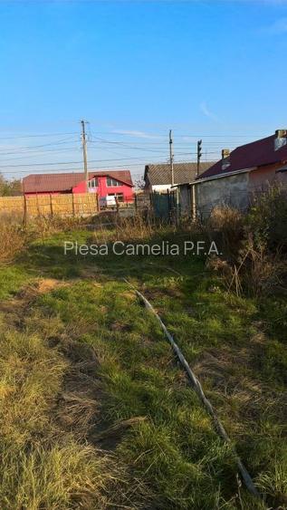 BUTIMANU - DN1A, CASA + TEREN 5000MP, DESCHIDERE 28 MP, - 11