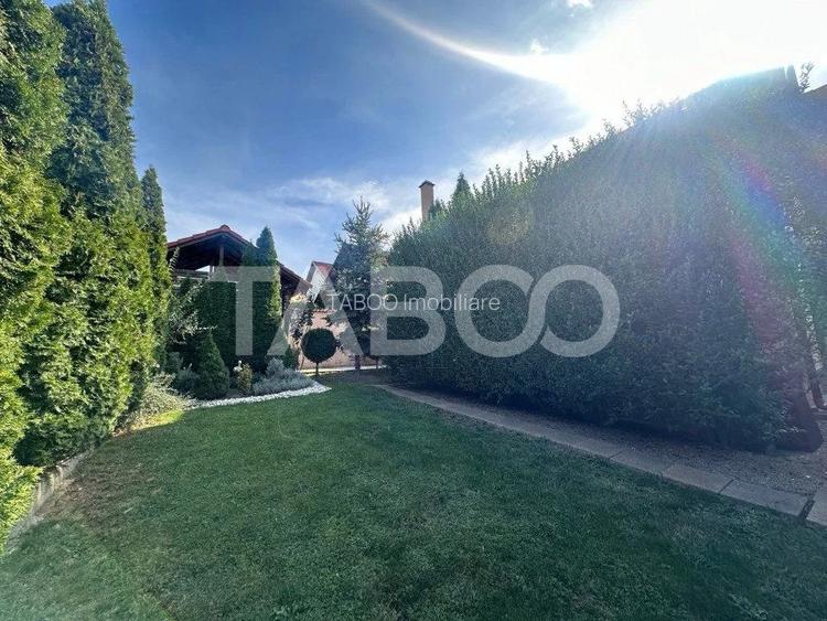 Liniste Spatiu Ritm - 13